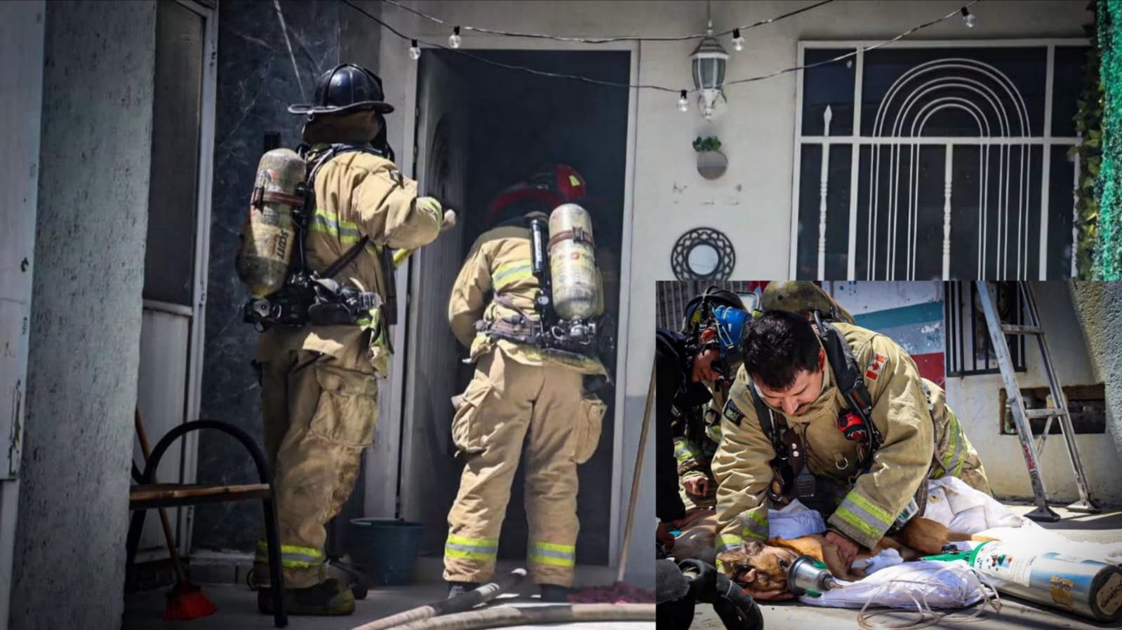 MUEREN TRES LOMITOS DURANTE INCENDIO EN CASA HABITACIÓN EN LA LOMA Vl
