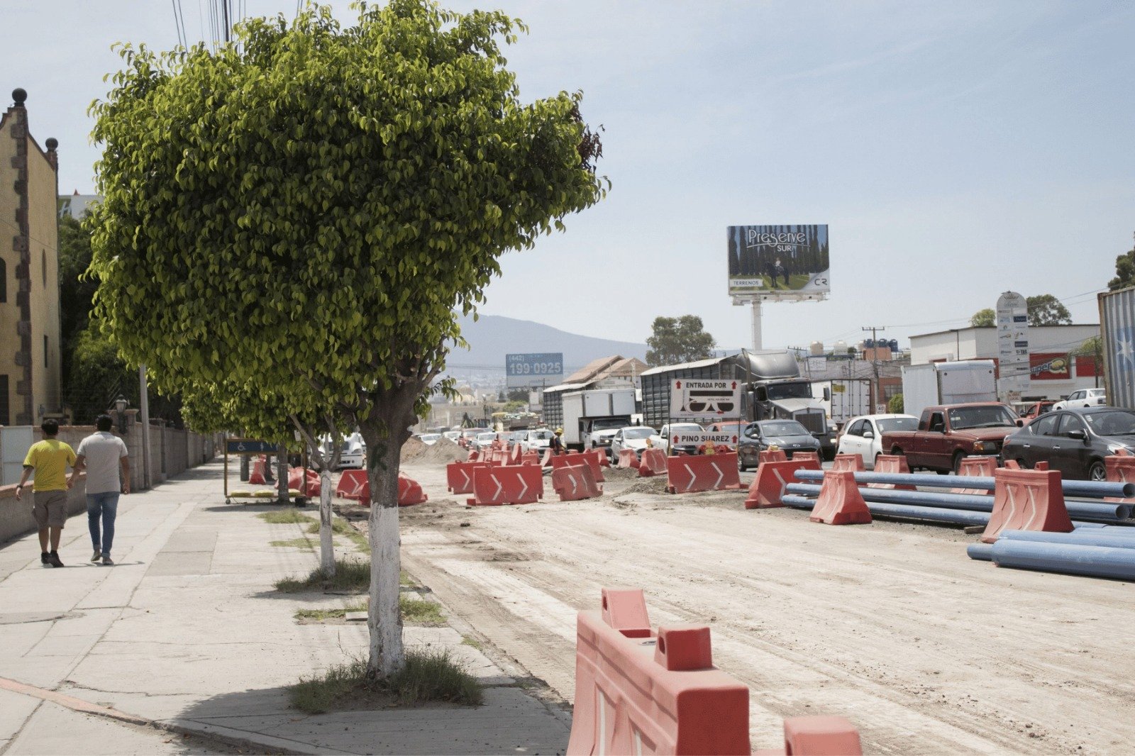 Advierten déficit de áreas verdes en Querétaro y piden proteger arbolado