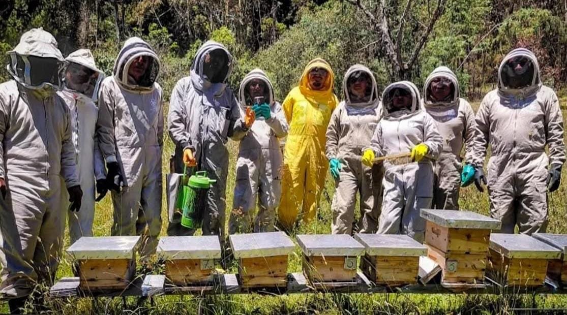 IMPA El Marqués intercambia experiencias en Colombia para mejorar la protección de abejas
