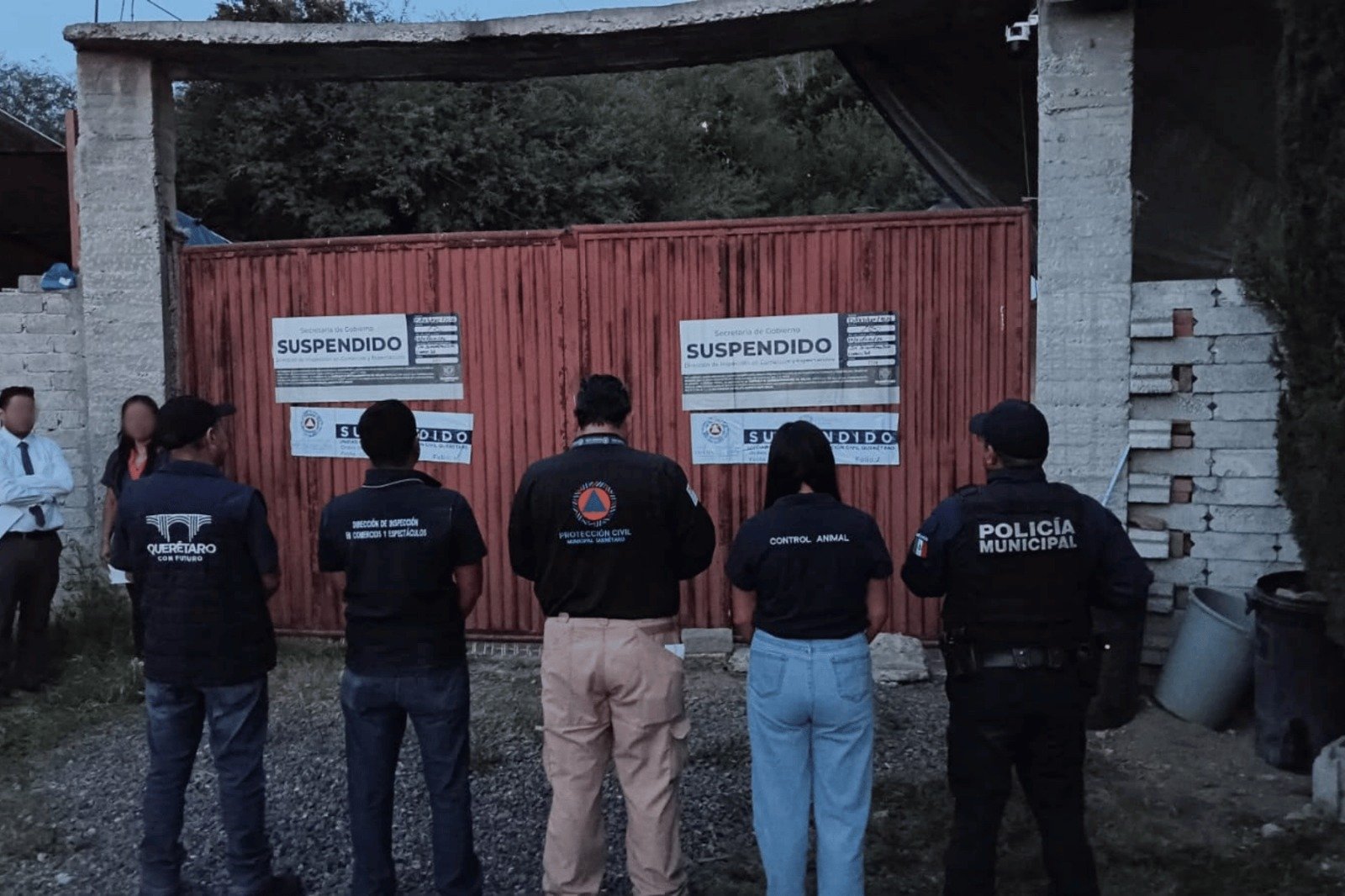 Municipio de Querétaro suspende pensión de perros y resguarda a 28 ejemplares